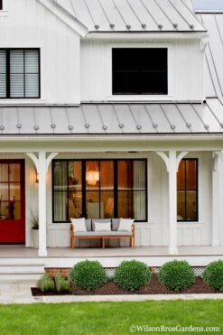 Korean Dwarf Boxwood - Buxus Sinica Var. Insularis 'Nana' - 6 Pack Of 1 Gallon Pots 9 Korean Dwarf Boxwood - Buxus Sinica Var. Insularis 'Nana' - 6 Pack Of 1 Gallon Pots -Wilson Bros Gardens Plant Sales Store Boxwood Korean Dwarf Insularis Nana 4