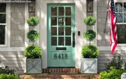 Green Mountain Boxwood 3-Ball Poodle Tier Topiary - 6 Gallon Pot 7 Green Mountain Boxwood 3-Ball Poodle Tier Topiary - 6 Gallon Pot -Wilson Bros Gardens Plant Sales Store buxus green mountain 3 ball topiary 20