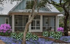 Snow Globe Gardenia - 1 Gallon Pot -Wilson Bros Gardens Plant Sales Store gardenia jasminoides snow globe 2