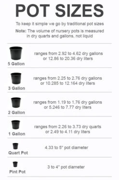 New Release -Wilson Bros Gardens Plant Sales Store pot size chart 2022 363